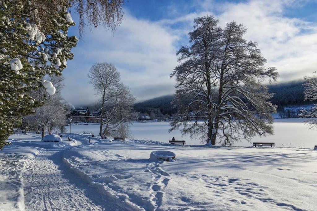Sieben Tannen Titisee + Hochschwarzwald Card Apartment Exterior photo